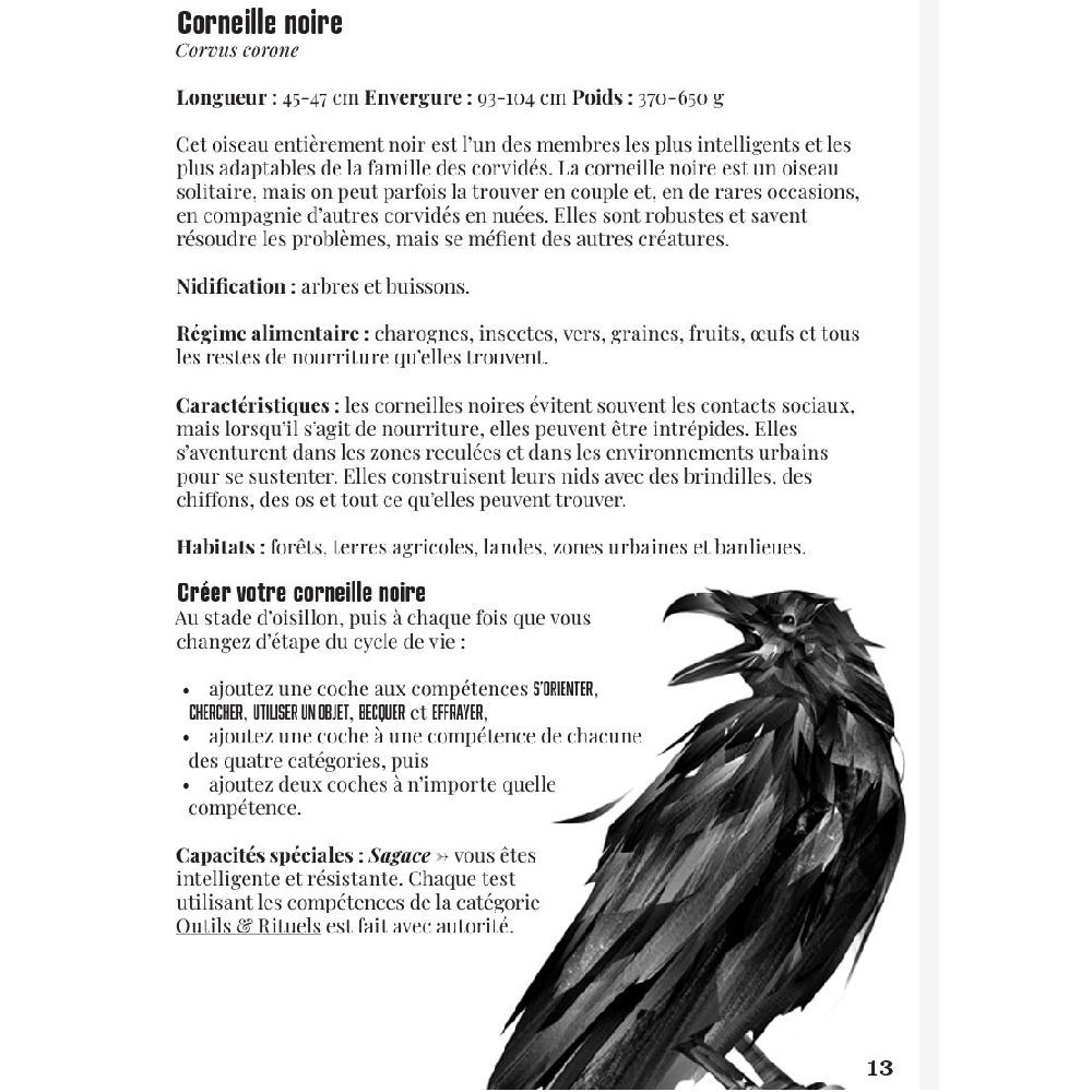 JDR La Voie du Corbeau - Jeu de role solo
