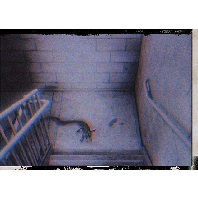 JDR Solo Ne jouez surtout pas à ce jeu !