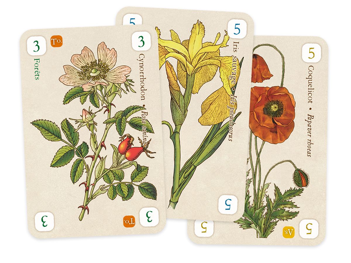 Officinalis Deluxe