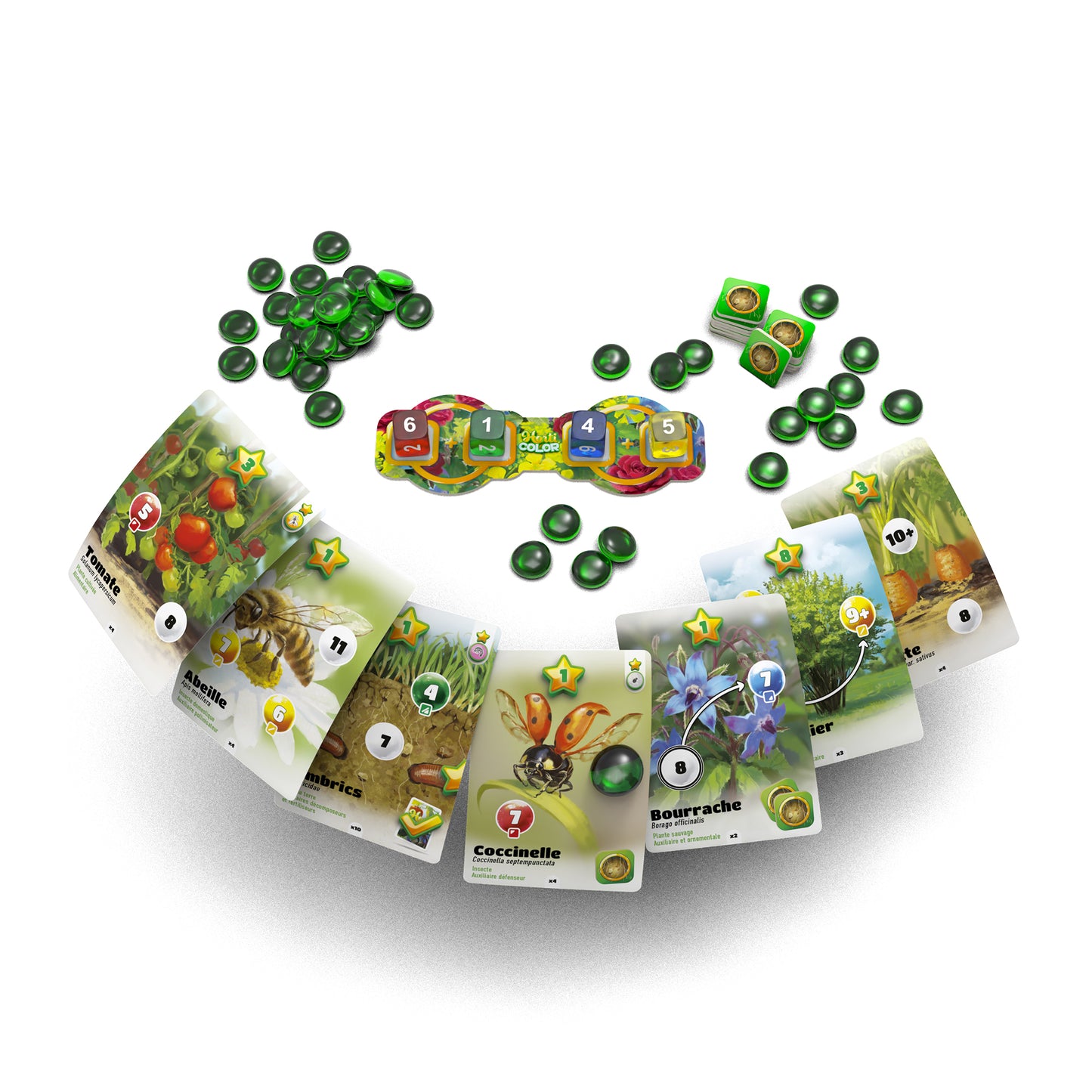 Horticolor
