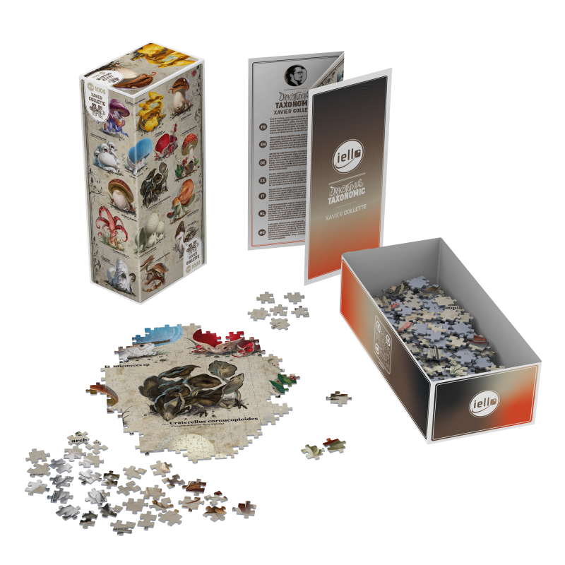 Puzzle UNIVERSE - 1000p : Dracofungus - Taxonomic
