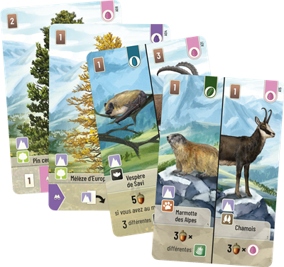 Forêt mixte : Extension Alpes