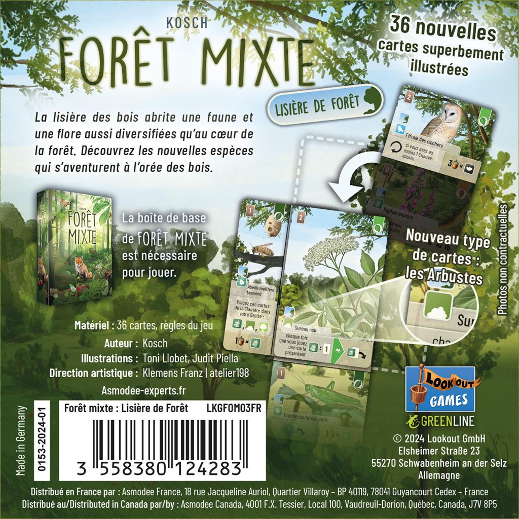 Forêt Mixte : Extension Lisière de Forêt