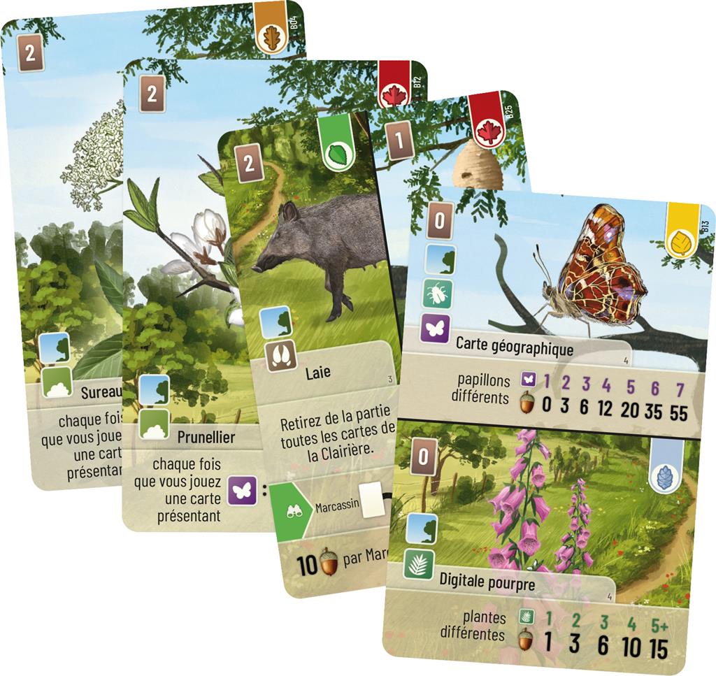 Forêt Mixte : Extension Lisière de Forêt