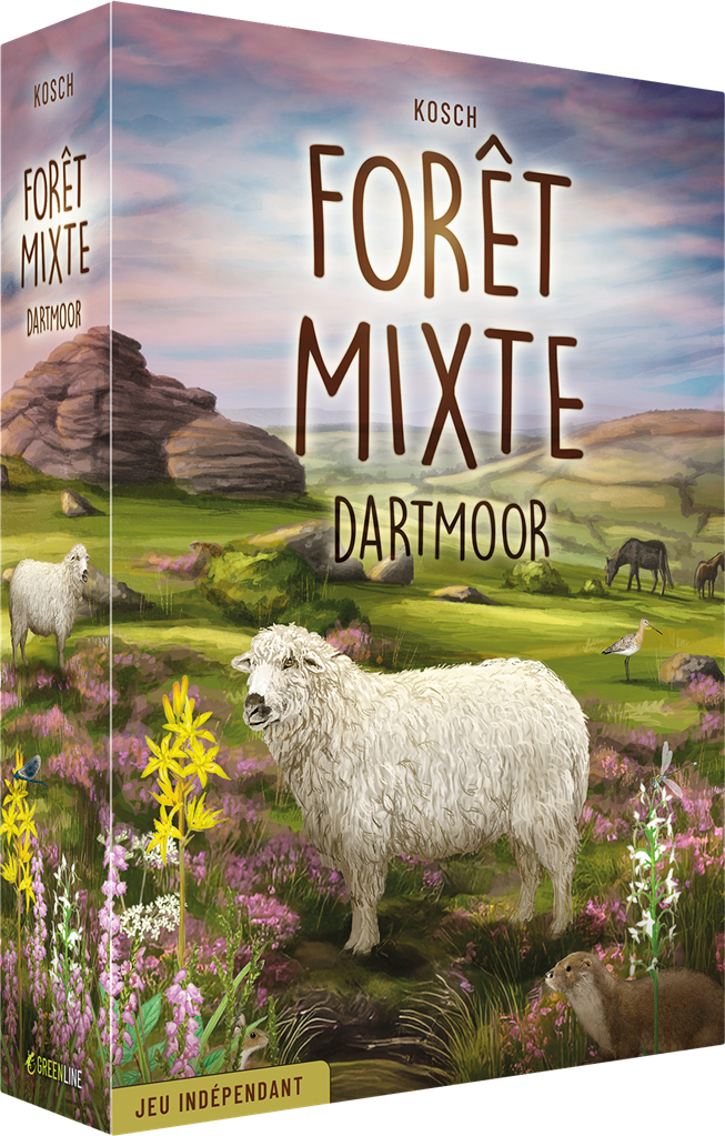 Forêt Mixte : Dartmoor
