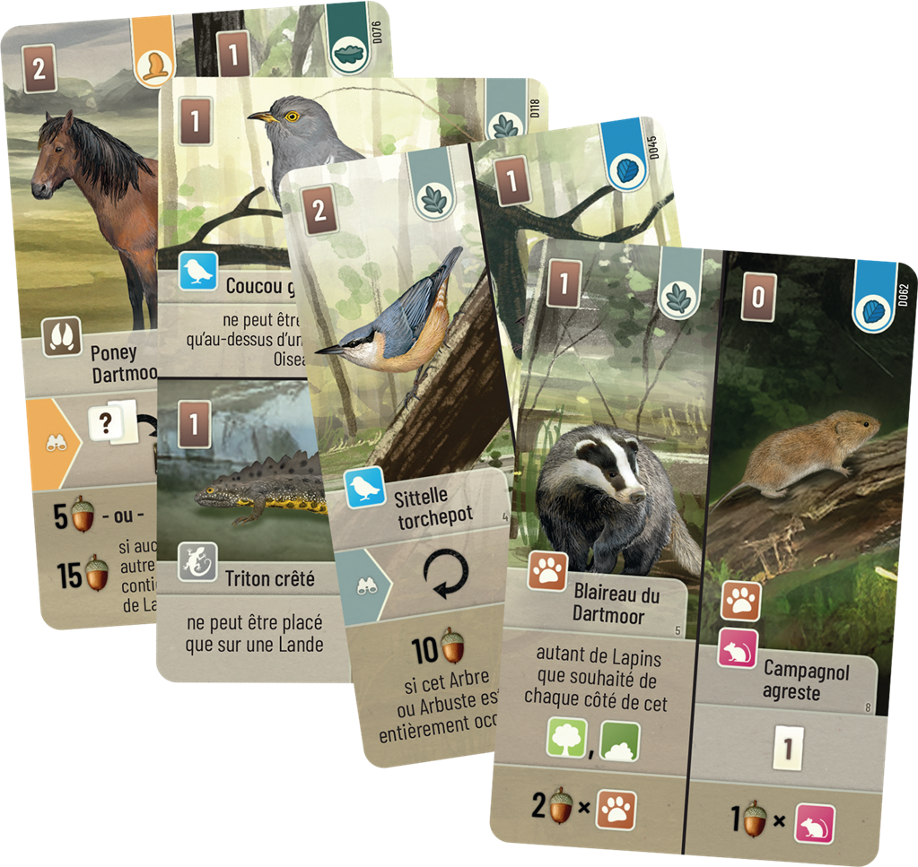 Forêt Mixte : Dartmoor