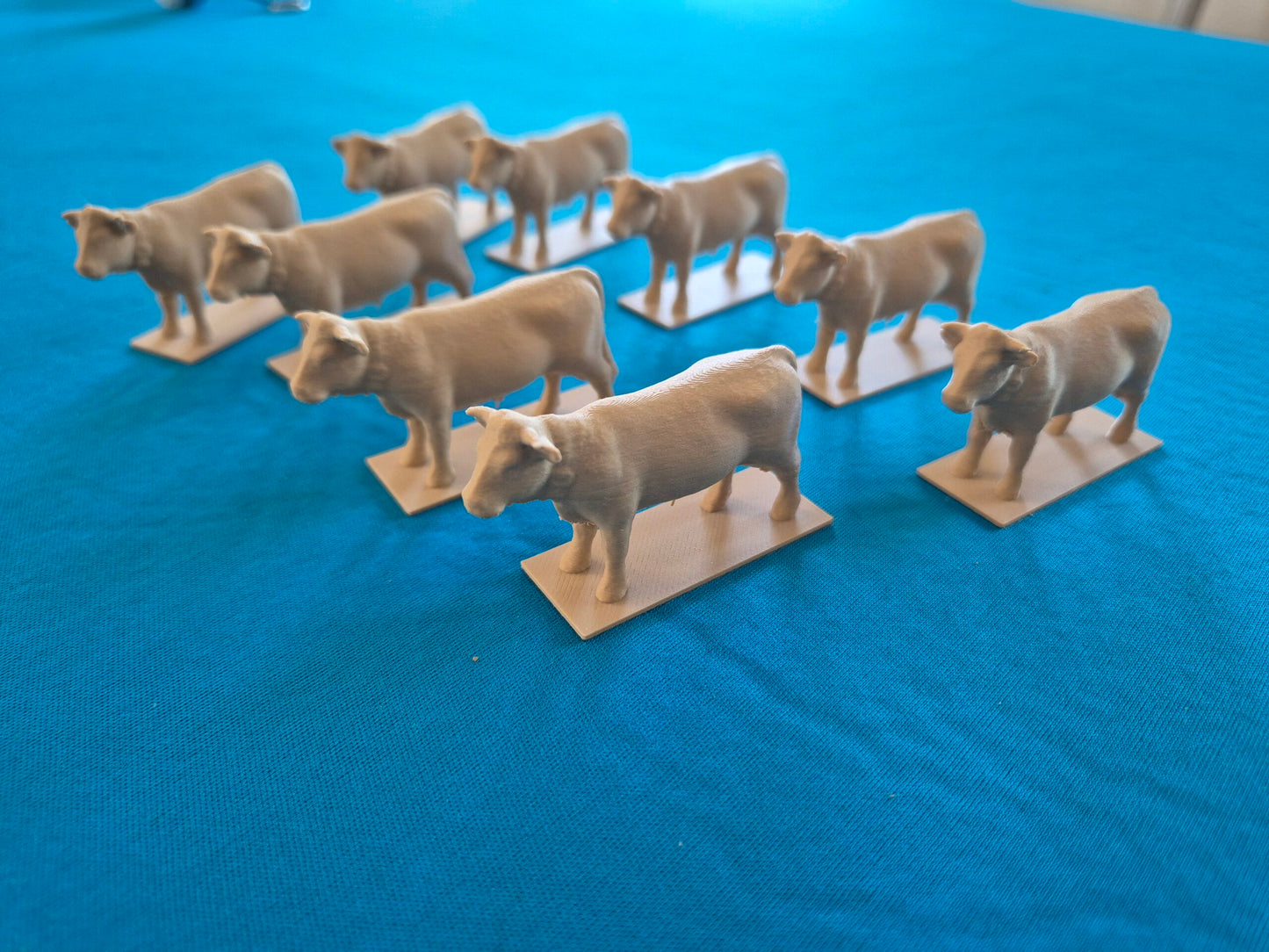 Accessoires 3D ALCY DESIGN
