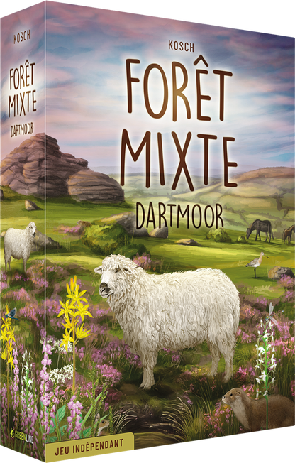 Forêt Mixte : Dartmoor