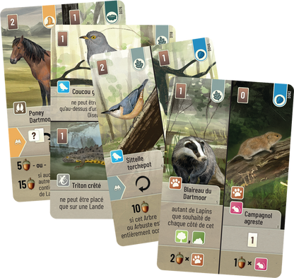 Forêt Mixte : Dartmoor